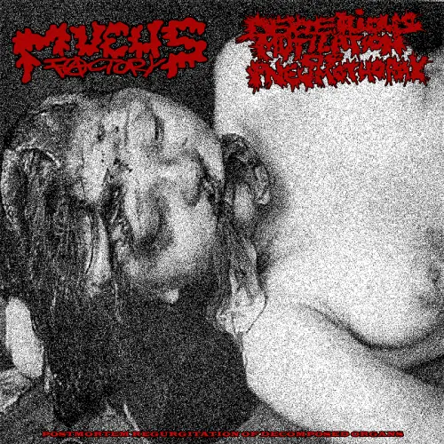 Mucus Factory : Postmortem Regurgitation of Decomposed Organs Mucus Factory : Postmortem Regurgitation of Decomposed Organs